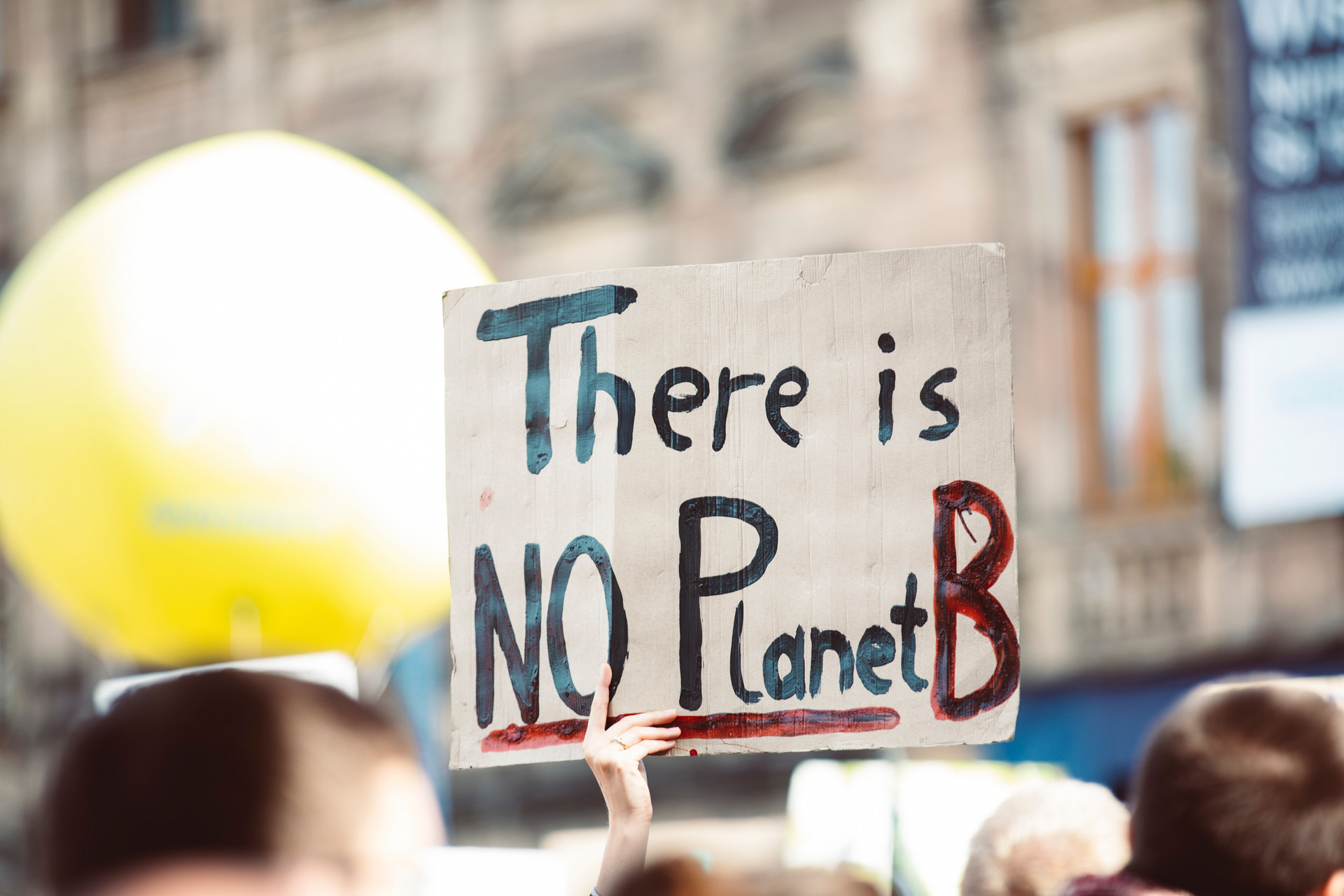 There is no Planet B - Proteste von Fridays for Future