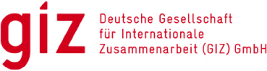 Deutsche Gesellschaft für Internationale Zusammenarbeit GmbH Logo
